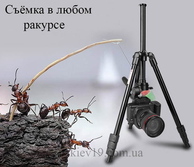 Штатив Weifeng 6724 KIT (WF-6724) ракурс купить штатив